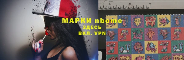 хмурый Алзамай