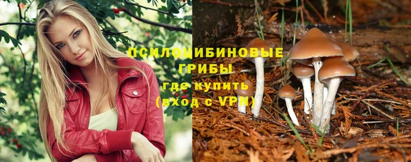 хмурый Алзамай