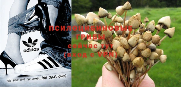 марки nbome Лагань