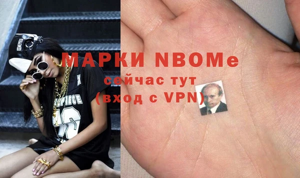 хмурый Алзамай