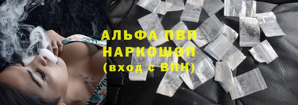 хмурый Алзамай
